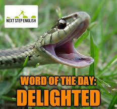 Next Step English On Twitter Advanced English Vocabulary Advanced Vocabulary Advanced English