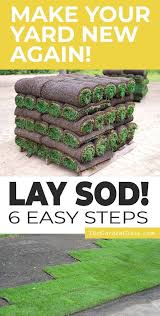 We Show You 6 Easy To Follow Steps On How To Lay Sod Fall And Spring Ar In 2020 Outdoor Landscaping Ideas Front Yard How To Lay Sod Outdoor Landscaping Ideas Backyard