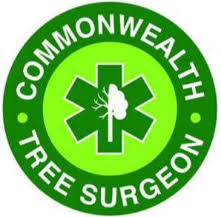 Latest tree surgery feedback review: Commonwealth Tree Surgeon Best Tree Service Companies In Andover Arborists Near Me