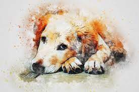 Our privacy policy has been updated, if you agree to our policy, please continue to our site. 5 Custom Interior Design Elements For Dog Lovers Design Scene