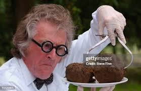 1,390 Steve Tool Photos & High Res Pictures