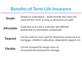 Is it the best type of life insurance? What Is Term Life Insurance And How Does It Work Policyadvisor