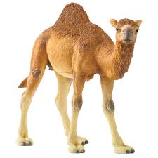 Testing a camel route is like turning on a sausage machine…. Schleich Wild Life Dromedary Camel Figure 14832 4059433039671 Ebay