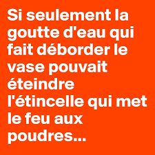 La goutte d'eau qui fait déborder le vase. Si Seulement La Goutte D Eau Qui Fait Deborder Le Vase Pouvait Eteindre L Etincelle Qui Met Le Feu Aux Poudres Post By Low Mud On Boldomatic