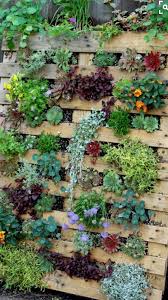 Pin By Nicola Page On Garden With Images Palette Garden Vertical Garden Diy Garden Yard Ideas