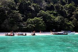 Check spelling or type a new query. Monkey Beach Koh Phi Phi Affenstrand Thailand Lifestyle