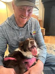 Dog bolts from car, falls over 100-foot Colorado cliff, is rescued