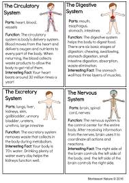 Systems Of The Human Body Montessori Printable Montessori Nature Hamillkevin193 Teaching Body Systems Human Body Systems