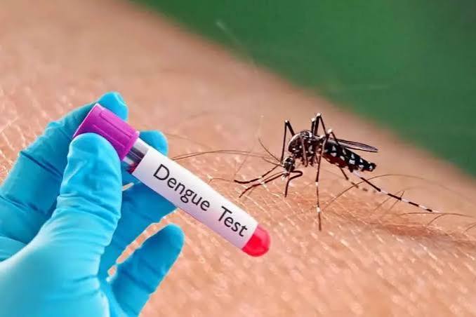 Health Department to arrange test for Dengue in low price