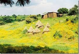 Ethiopian Calendar Today Date In Ethiopia Calendar 2021 2013