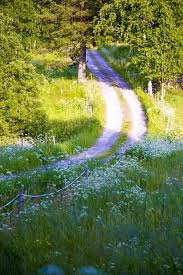 Country Lane Telemark Norway By Liv Sandvik Jakobsen Cr Bakgrunner Land Steder