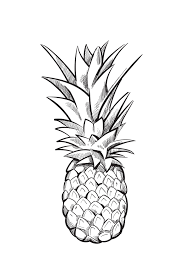 Check spelling or type a new query. Hand Drawn Pineapple Vector Fruit By Microvector Thehungryjpeg Com