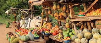 Die früchte der felsenbirne ernten und verwerten. Fruchte Aus Uganda Und Ecuador Weltladen Winterlingen