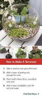 How To Make A Terrarium Bunnings How To Make Terrariums Glass Fish Bowl Terrarium