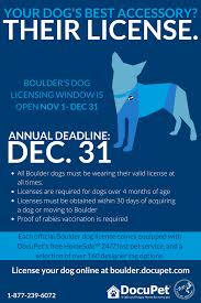 Why should i get a license for my dog? Jqb75pgs83g3im