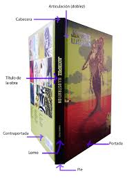 ¿en cuántas partes se divide un libro? Que Son Los Libros Y Sus Partes