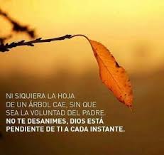 Senor Como No Sentir Como Dejar De Doler Como Hacer Para Que Esto Que Siento Ahora Este Dolor No Haga En Mi Animo Dios Esta Contigo Versiculos Biblicos Frases