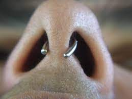 Septum definition, a dividing wall, membrane, or the like, in a plant or animal structure; Septum Piercing Wikipedia