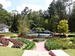 Taman agroteknologi mardi cameron ticket price, hours, address and reviews. Mardi Agro Technology Park In Langkawi Attraction In Langkawi Malaysia Justgola