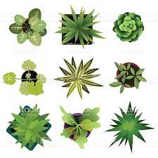 Top View Plants Easy Copy Paste In Your Landscape Design Projects Or Trees Top View Landscape Design Drawings Architectural Plants