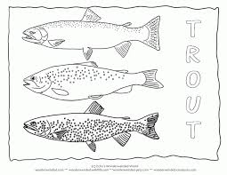 Freshwater Fish Coloring Pages Perfect Coloring Freshwater Fish Colouring Pages Fish Coloring Page Rainbow Fish Coloring Pages