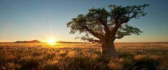 Thousands of images added daily. Listening South African Landscape Aufgabe English Language Unterstufe