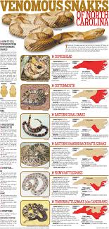 Venomous Snakes Of North Carolina Special Sections