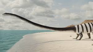 Image result for Tanystropheus