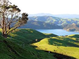 Cape reinga is one of the most famous locations in nz north island. Things To See And Do In North Island New Zealand Travelvivi Com
