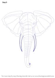 Elephant face outline pricemycasa info. Learn How To Draw An Elephant Head Zoo Animals Step By Step Drawing Tutorials Elephant Art Drawing Elephant Head Drawing Elephant Face Drawing