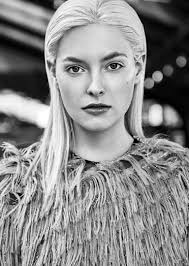 Království za koně