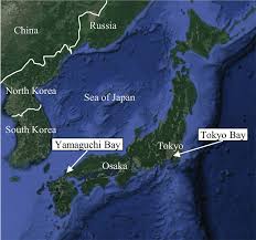 34° 11' 9 north, 131° 28' 17 east. Map Of The Study Areas In Yamaguchi Bay And Tokyo Bay Japan Download Scientific Diagram