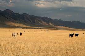 Geography eastern united states central united states western united states fill in the blanks with appropriate information 1. Northern Great Plains Fourth National Climate Assessment