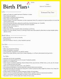 Birth Plan Template Free Editable Birth Plan Going To Make Some Edits But This Is A Good General Template Birth Plan Template Birth Plan Third Trimester Checklist