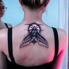 Harris's board moth, followed by 634 people on pinterest. 85 Wondrous Moth Tattoo Ideas Body Art That Fits Your Personality