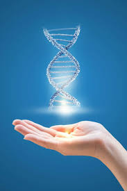 Ovarian cancer is a cancer that forms in or on an ovary. Ovarian Cancer How Your Father S Genes Can Affect Your Risk