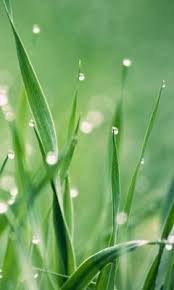 ‎لا إله إلا أنت سبحانك إني كنت من الظالمين‎ ÙØ·Ø±Ø§Øª Ø§ÙÙØ¯Ù Ø§ÙØ®ÙÙÙØ© ØªØ­ÙÙÙ Ø¥ÙÙ ÙØ§ØªÙÙ Ø§ÙÙÙØ§Ù ÙÙ Phoneky