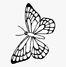 Maybe you would like to learn more about one of these? Transparent Butterfly Outline Clipart Free Printable Butterfly Coloring Pages Hd Png Download Kindpng