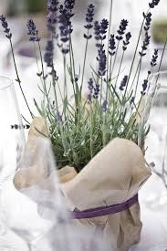 Lavendel Hochzeitsdeko Google Suche Lavendel Hochzeit Hochzeitsdeko Hochzeit Deko