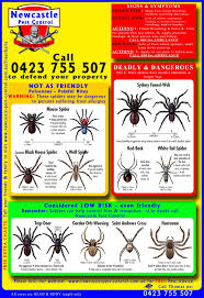 Spider Chart Spider Identification Chart Garden Board