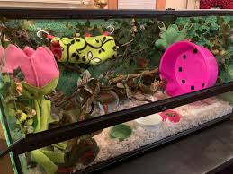 36x18x18 Exo Terra Terrarium For A Female Sto Planter Pots Terrarium Planters
