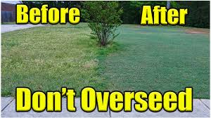 The different types of bermuda grass, in general, are hybrid bermuda grass and common bermuda grass. Over Seeding Bermuda Lawn Bermuda Grass Care