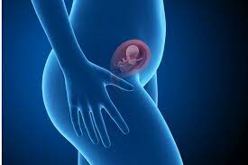 19 Ssw Der Babybauch Wird Sichtbar 4 Vorsorgeuntersuchung