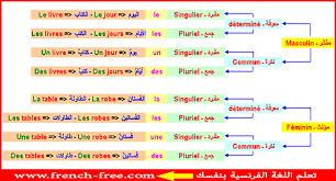 قاعدة المفرد والجمع في اللغة الانجليزية