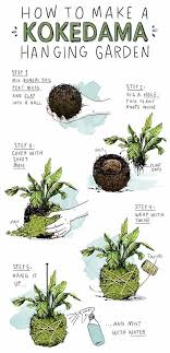 How To Make Kokedama Hanging Gardens Perfect For Small Spaces Plants Moss Plant Small Space Gardening