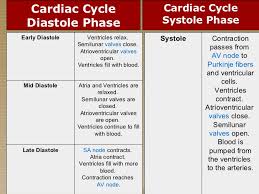 hemodynamics basic concepts