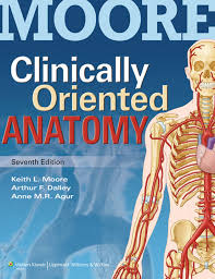 Clinically Oriented Anatomy 7th Edition Anatomy Flashcards Medical Textbooks Anatomy