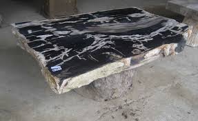 Home And Garden Petrified Wood Table Top Petrified Wood Table Handmade Wood Furniture Wood Table