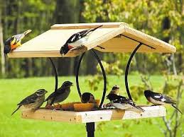 Put in a sturdy post and add bird feeders so you'll have hours of enjoyment watching your feathered friends. Wood Country Large Fly Through Platform Bird Feeder W Removable Seed Tray Fly Thru Bird Feeders At Fiddle Creek Farms