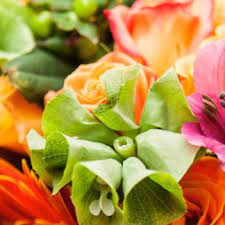 Discover recipes, home ideas, style inspiration and other ideas to try. Seasonal Flowers Wholesale Flowers Kittelberger Wholesale Florist Webster Rochester